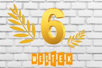 Золотые номера с числом 6 на сайте WESTEK.RU